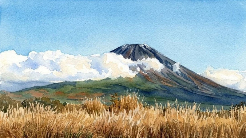 "Pampas grass and Mt. Fuji" watercolor painting reproduction 01/50 Pampas Grass