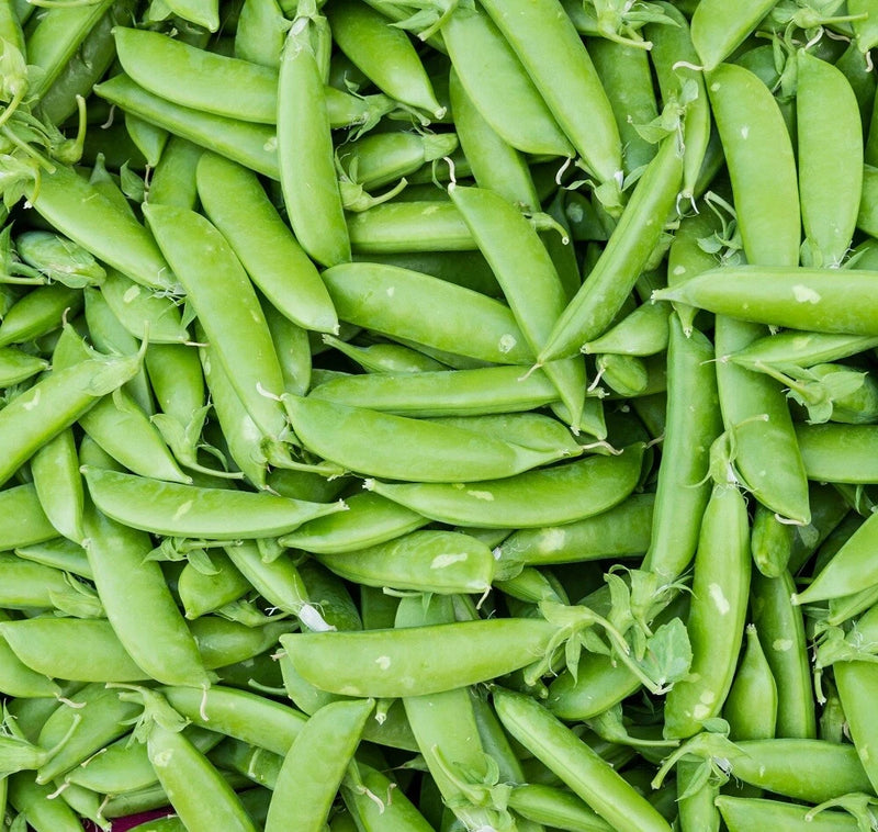Sugar Snap Pea Seeds - Bulk Heirloom Non GMO Vegetable Seeds for Planting Garden Garden Plants