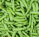 Sugar Snap Pea Seeds - Bulk Heirloom Non GMO Vegetable Seeds for Planting Garden Garden Plants