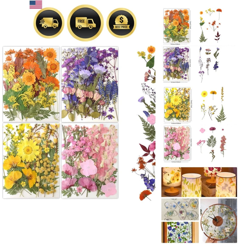 Pressed Flowers Bulk Natural Dried Flowers for Resin Crafts Nail Art Dried Flower