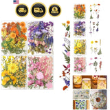 Pressed Flowers Bulk Natural Dried Flowers for Resin Crafts Nail Art Dried Flower