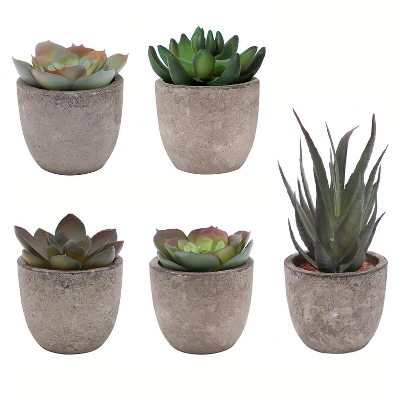 Set of 5 Artificial Succulent Plants in Pots - Lifelike Fake Succulents for D... Green Plant