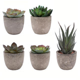 Set of 5 Artificial Succulent Plants in Pots - Lifelike Fake Succulents for D... Green Plant