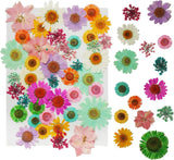 43Pcs Dried Pressed Flowers for Resin, Real Flowers Dry Leaves Bulk Natural Herb Dried Flower