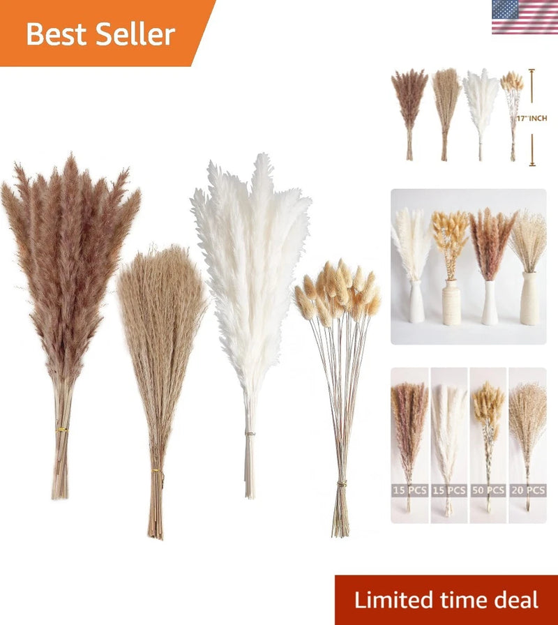 Boho pampas grass dried flower stems set, feathery plumes in tan, brown and white bundles