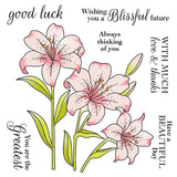Blooming Lily Flowers Always Thinking of You Metal Cutting Dies Clear Stamps Lily