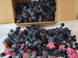 Huge Box Lot Hundreds of Black and Pink Flowers from Thailand & China- Old Stock Dried Flower