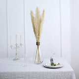 6 SPRAYS STEMS 49" Natural Pampas Grass Dried Plant Party Events Decorations Pampas Grass