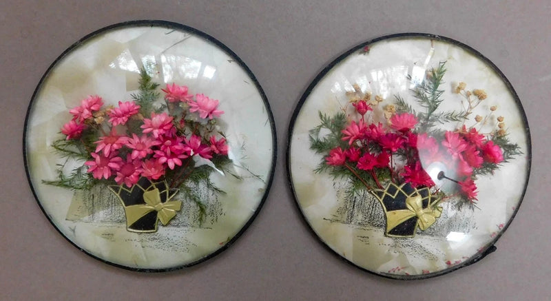 Pair of round domed-glass dried flower plaques with pink blossoms in gold bases