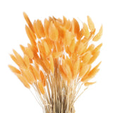 120pcs Natural Bunny Tails Dried Flowers 24" Mini Pampas Grass, Light Orange Pampas Grass