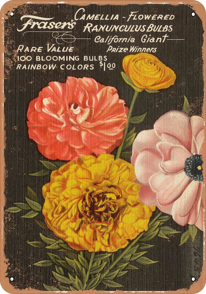 METAL SIGN - California Postcard - Frasier's Camellia - Flowered Ranunculus Bul Ranunculus