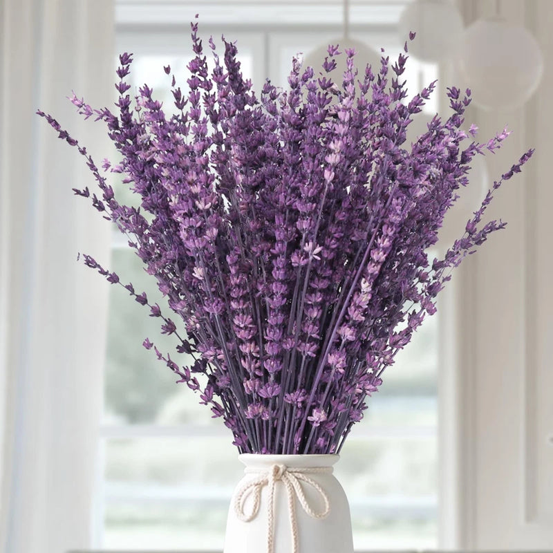Dried lavender flowers bouquet bundle with purple stems and small blossoms