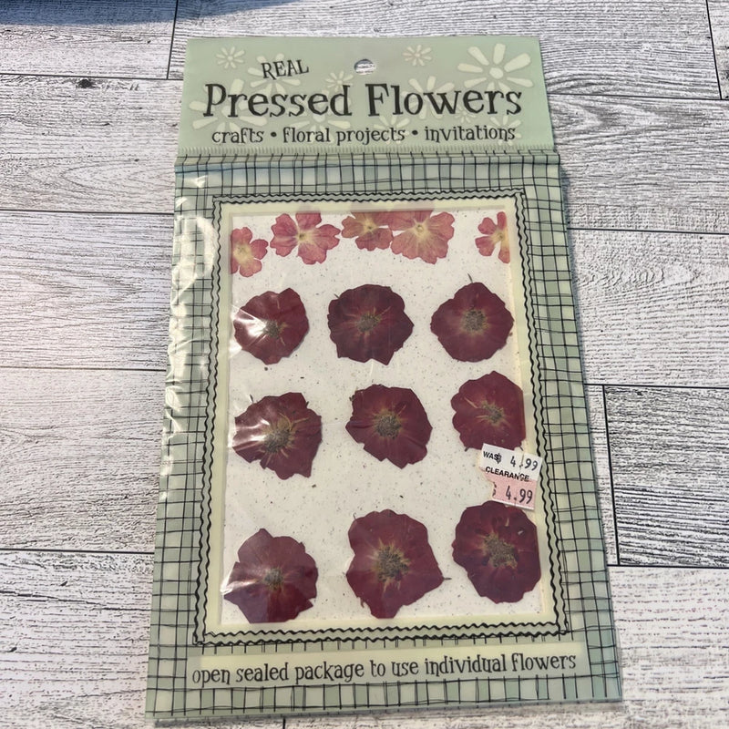 Pressed flower craft pack with multiple maroon dried flower shapes in a sealed package