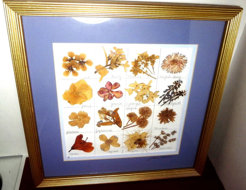 Ohio BOTANICAL FOLK ART dried flowers Signed- LISA MERRICK STUDIO - NORTON, OHIO Dried Flower