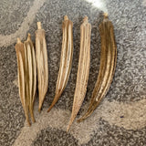Lot Of 6 Dried Okra Pods With Seeds Inside Dried Flower