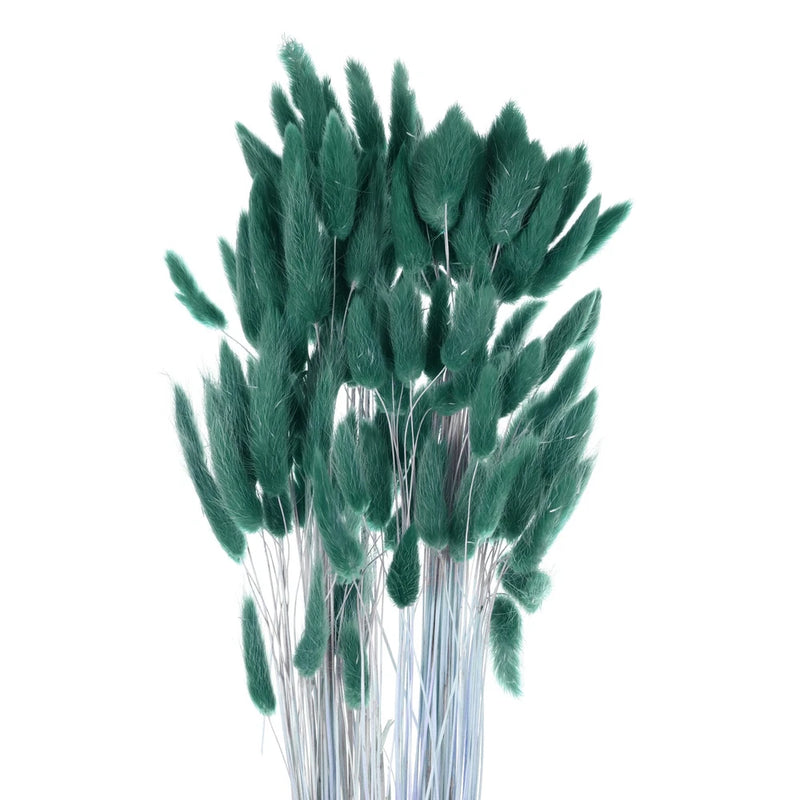 Dried bunny tail stems, dark teal feathered flowers on thin white stems