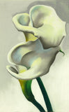 GEORGIA O'KEEFFE TWO CALLA LILIES  MINIMALISM ART GICLEE PRINT FINE CANVAS Lily
