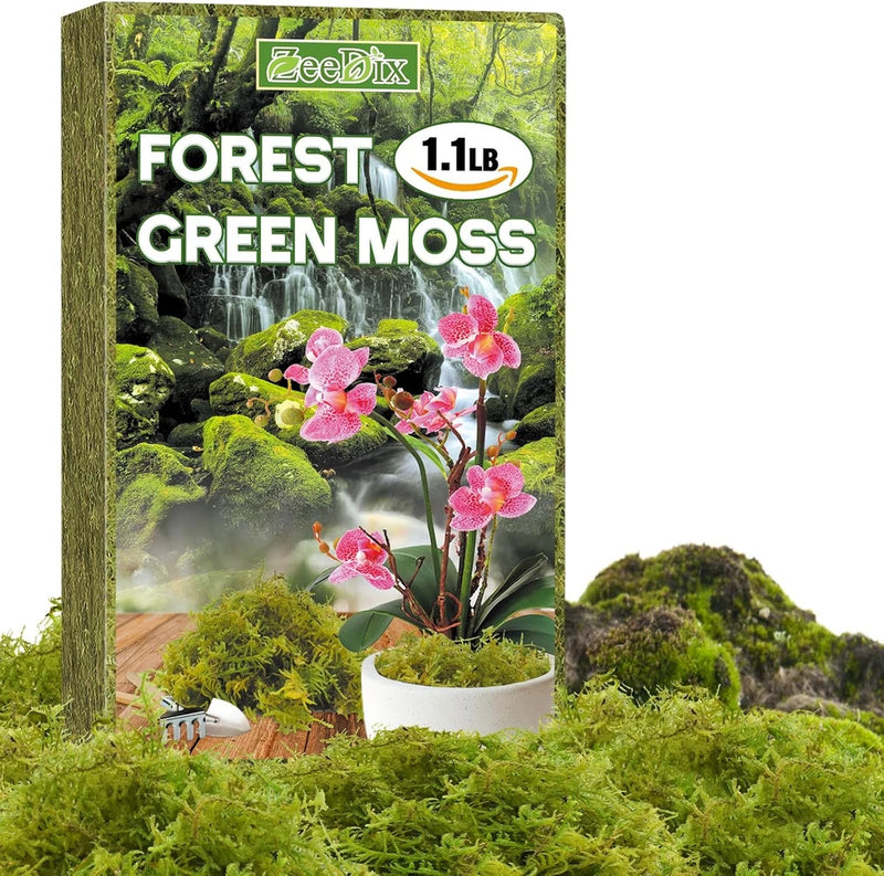 1.1 Lb Forest Moss for Plants Indoor - Dried Orchid Moss for Repotting, Natural Orchids