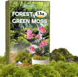 1.1 Lb Forest Moss for Plants Indoor - Dried Orchid Moss for Repotting, Natural Orchids