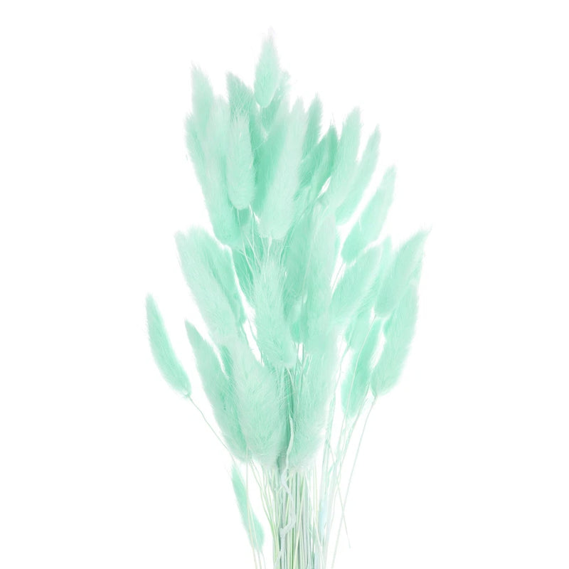 50pcs Natural Bunny Tail Dried Flowers 18" Mini Pampas Grass, Cyan Dried Flower