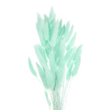 50pcs Natural Bunny Tail Dried Flowers 18" Mini Pampas Grass, Cyan Dried Flower