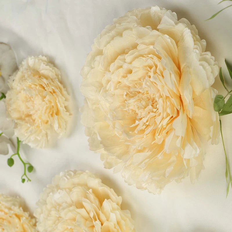 6 pack 12" 16" 20" Ivory and Cream Tissue Paper Carnation Flowers Home Backdrop Carnation