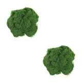 Moss for Terrarium Artificial Indoor Plants Imitation Green Landscape Green Plant