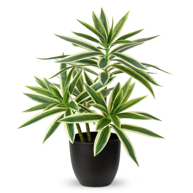 Artificial dracaena-style plant in dark round pot, long green striped leaves