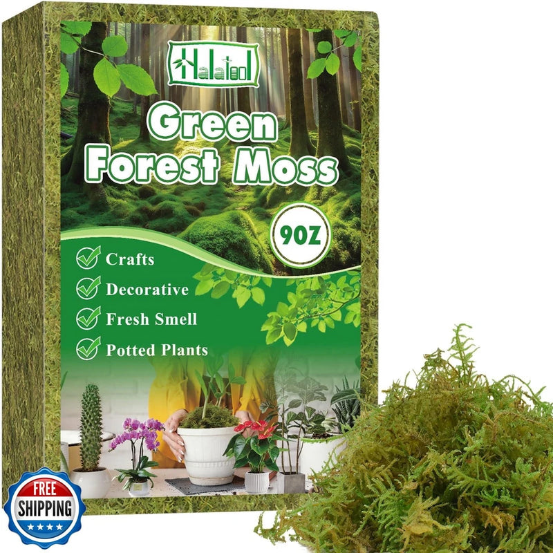 Green forest moss potting mix bag (90Z) for potted plants and orchids