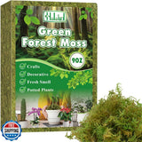 Halatool 9OZ Green Moss for Potted Plants, 12QT Orchid Moss Potting Mix, Fore Orchids