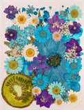48 Pcs Dried Pressed Flowers Bulk Kit - Natural Petals for Resin, Crafts, DIY De Dried Flower