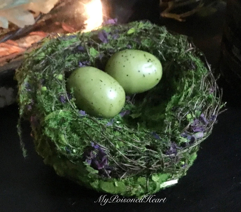 4Ó Mossy Spring Birds Nest Purple Dried Flowers Green Speckled Eggs Dried Flower
