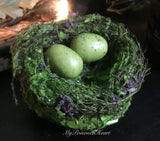 4Ó Mossy Spring Birds Nest Purple Dried Flowers Green Speckled Eggs Dried Flower