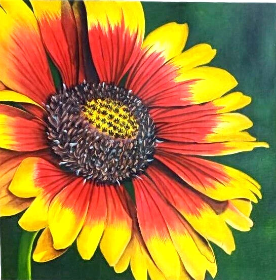 Sunflower acrylic painting on canvas with yellow and red petals and dark textured center