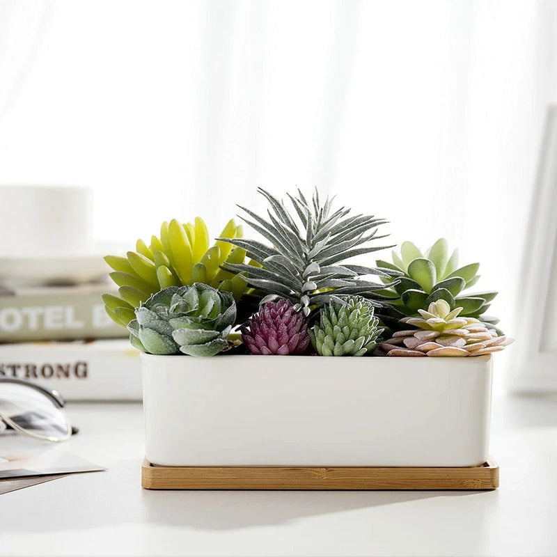 Assorted Artificial Succulents in White Ceramic Pot w/ Removable Bamboo Tray Flowering Plants