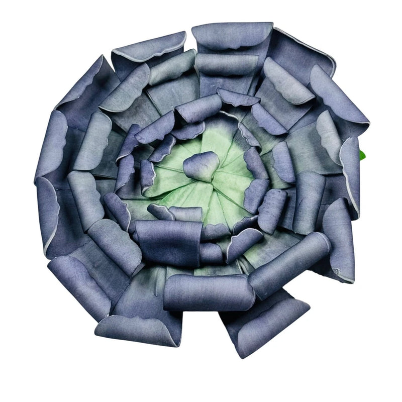 Ashland Blue and Green 12.5in Decorative Succulent Wall or Table Decoration Green Plant