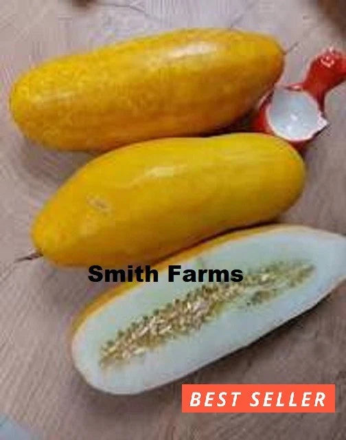 15+ Seeds Hmong Red Cucumber Easy Vegetable Garden Planting Edible Garden Plants