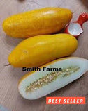 15+ Seeds Hmong Red Cucumber Easy Vegetable Garden Planting Edible Garden Plants