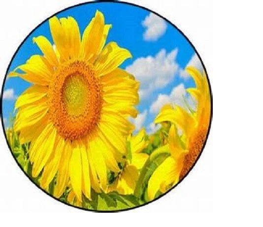 Round sunflower charm pendant with yellow flower on blue sky background