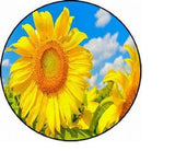 SUNFLOWER BLUE SKY FLOWER charm pendant 22" Sterling 925 Silver plate necklace Sunflower
