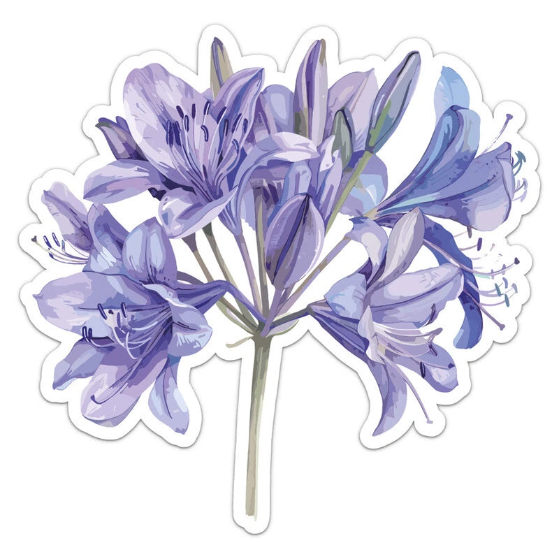 Watercolor African Lily Flower - Car Bumper Sticker Vinyl Art Decal Lily