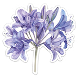 Watercolor African Lily Flower - Car Bumper Sticker Vinyl Art Decal Lily