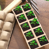 Garden Germination Nursery Pots Gardening Tray Starter Peat for Garden Plants
