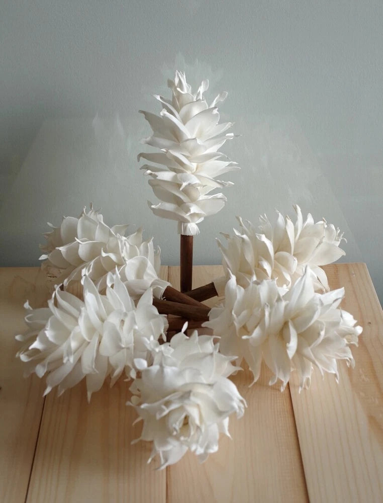 6 Indian Paintbrush Artificial Sola Wood Flower Diffuser Flowers 10cm Height. Sunflower