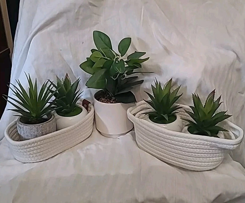 Set of 4 Decorative & Artificial Green Plants-White In Ceramic Pots W/baskets Green Plant