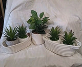 Set of 4 Decorative & Artificial Green Plants-White In Ceramic Pots W/baskets Green Plant
