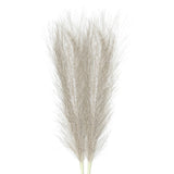 2Pcs Pampas Grass 17.7" Fake Pampas Grass for Wedding Decoration Champagne Pampas Grass