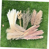 100Pcs Pampas Grass Boho Home Decor 17 inch Natural Dried Flowers-Pampas Grass Pampas Grass