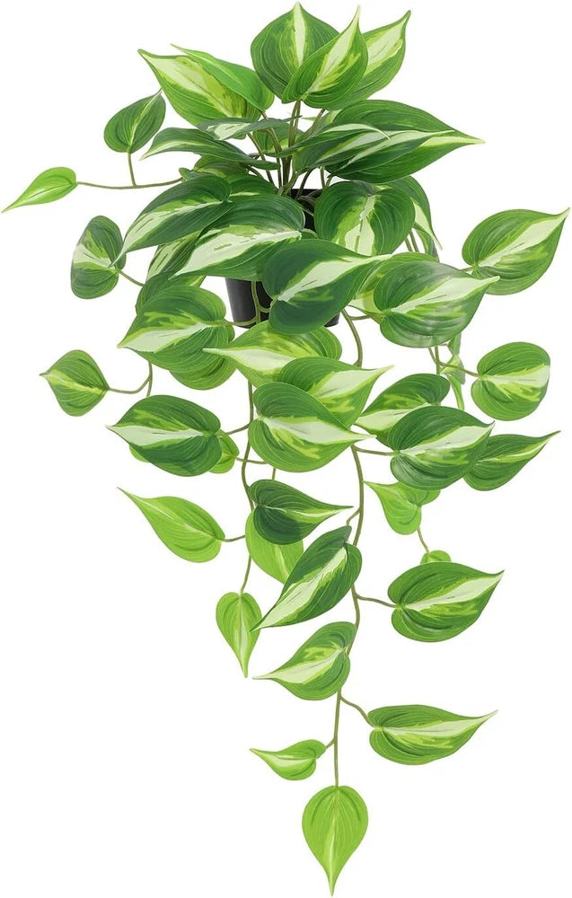 Hanging artificial pothos plant with trailing green leaves in a small black pot