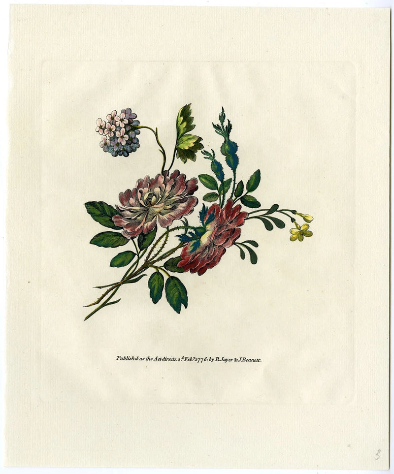 Antique Print-ROSE-HYDRANGEA-FLOWER-BOUQUET-Sayer-Bennett-1776 Hydrangea